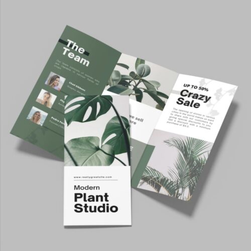 Professional Brochure Printing Services