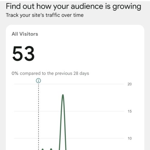 Daily Ray JEE Net Marketplace Report (Daily Search Performance, Traffic Analytics, Clicks, Impressions & Marketplace Growth Insights.)